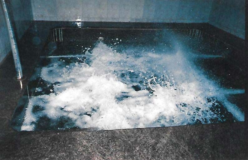 Steam Bath Generator 01