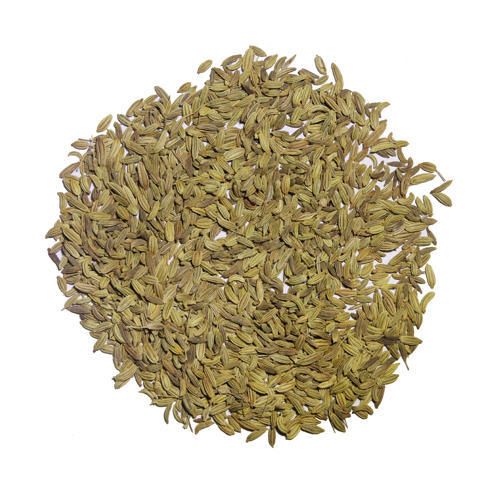 Fennel Seed 03