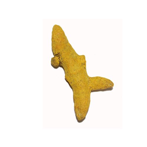 Turmeric Finger 02