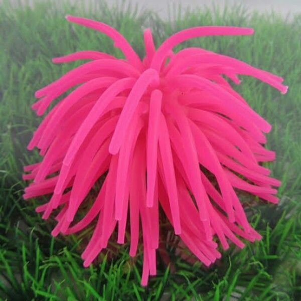 Anemone Toy