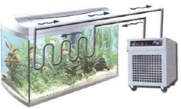 Aquarium Cooling system