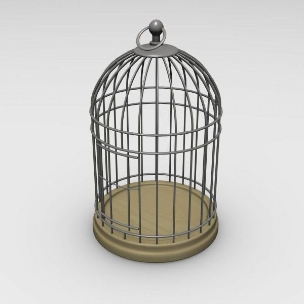 Bird Cages 07