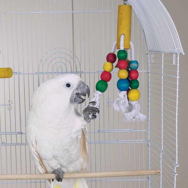 Brainy Bird Toys