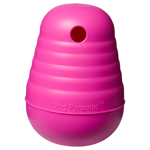 Dog Pyramid Toy