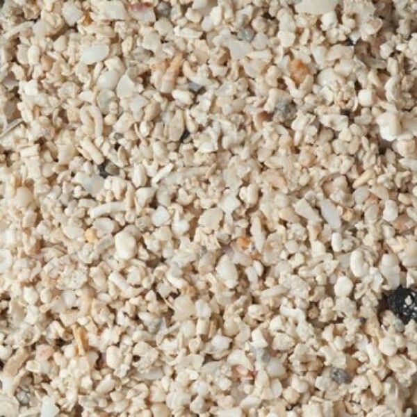 Marine Sand with Coloured Stones