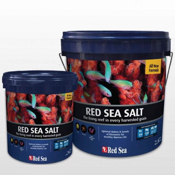 Red Sea Salt
