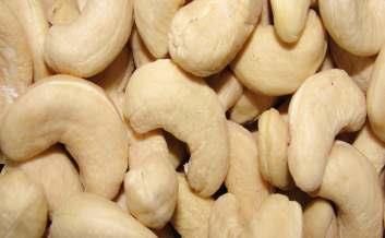 W-160 Cashew Nuts