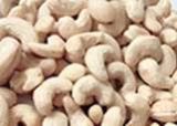 W-240 Cashew Nuts