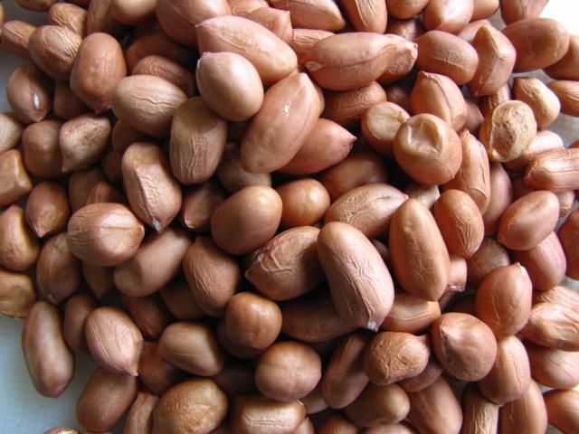 Groundnut Kernels 03