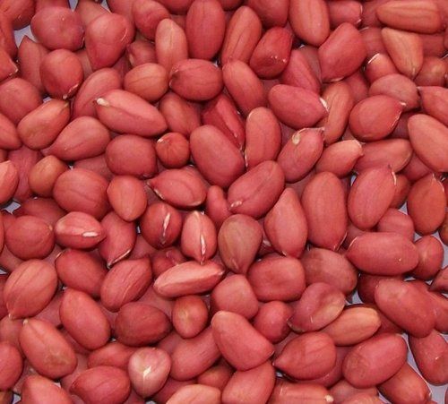 Groundnut Kernels 04