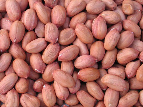 Groundnut Kernels 05