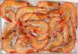 Frozen Vannamei Shrimp 02