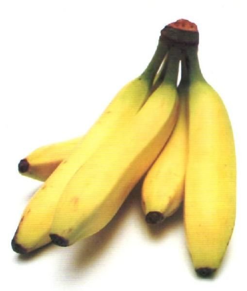 Banana Ripening Chamber 01