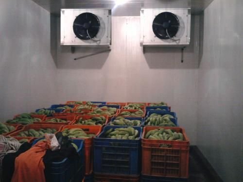Banana Ripening Chamber 03