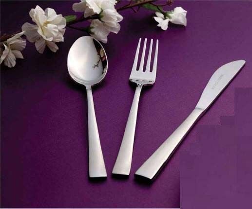 Stainless Steel Cutlery 01