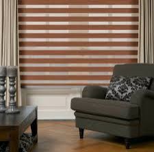 Zebra Window Blinds 01