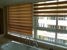 Zebra Window Blinds 05