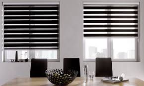 Zebra Window Blinds 06