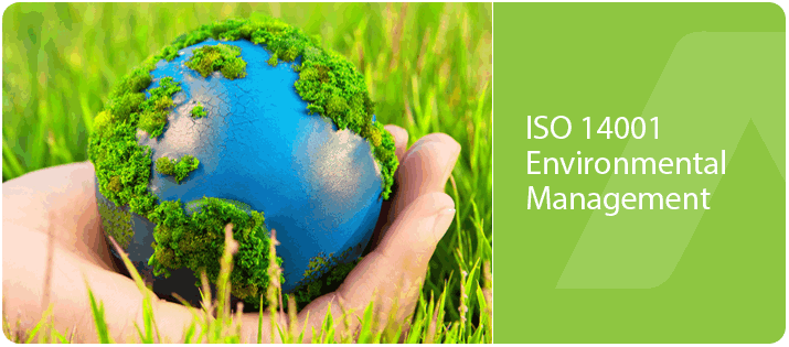 ISO 14001 Certification Service 02