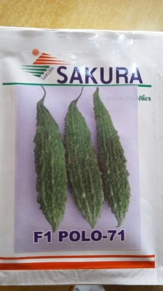 Bitter Gourd Seeds 01