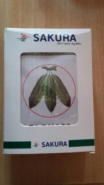 Bitter Gourd Seeds 02