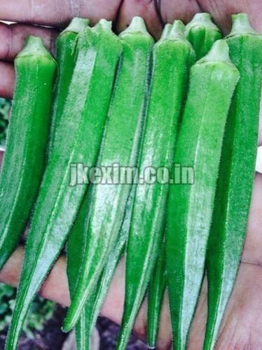Bhindi Sagar 15 Seeds 1