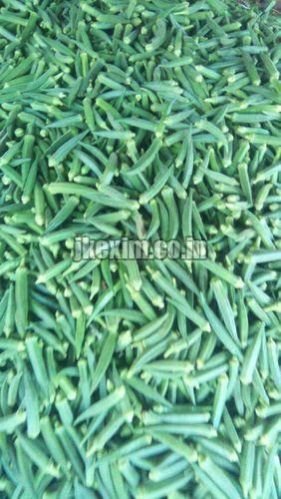 Bhindi Sagar 15 Seeds 3