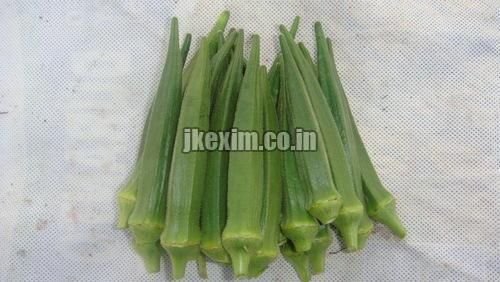 Bhindi Yashoda Seed 1