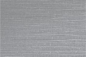 1002 D 300 x 450 mm Solenzo Digital Wall Tile
