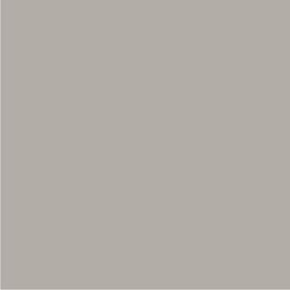 Grey Shreeji Plain Color Vitrified Tile