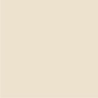 IV 01 Shreeji Parking Proof Vitrified Tile