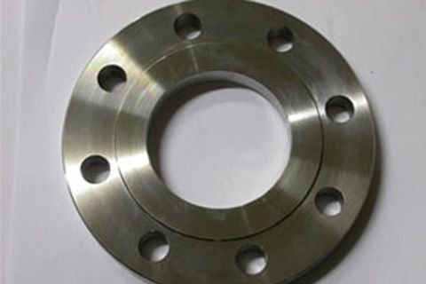 Stainless Steel Flange 04