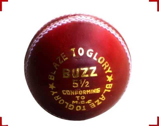 Buzz Leather Cricket Ball