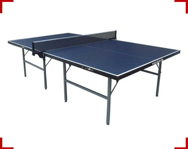 Pegasus Table Tennis Table
