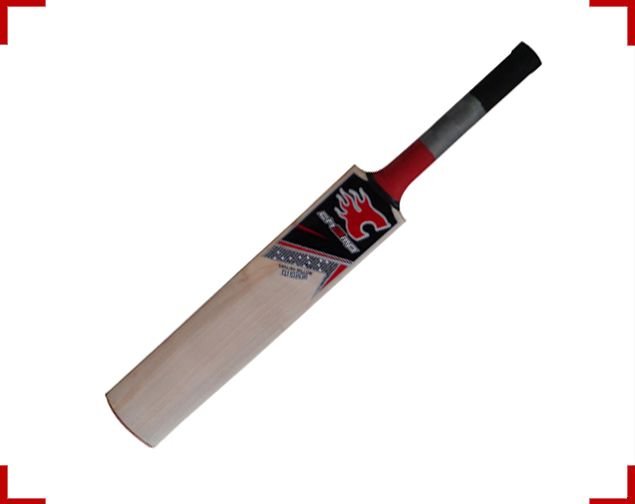 Junior Cricket Bat 02