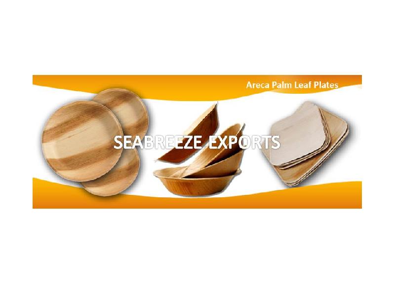 Disposable Areca Plate 02