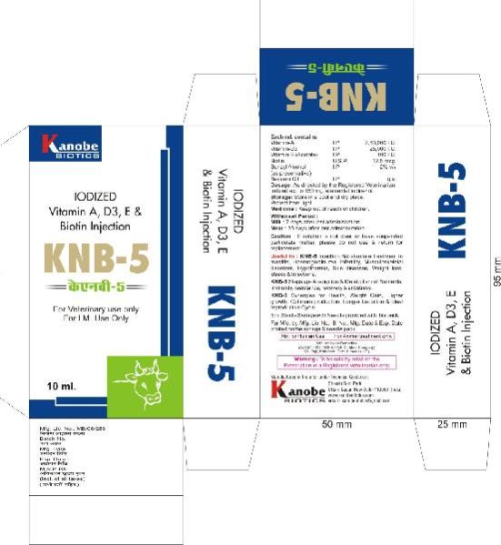 KNB - 5 Injection 01