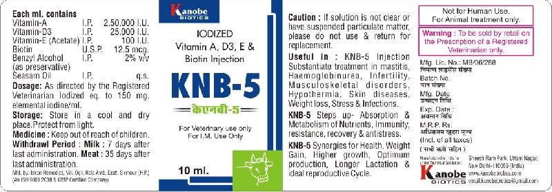 KNB - 5 Injection 02