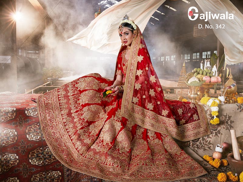 Bridal Lehenga Choli (D. No. 342)
