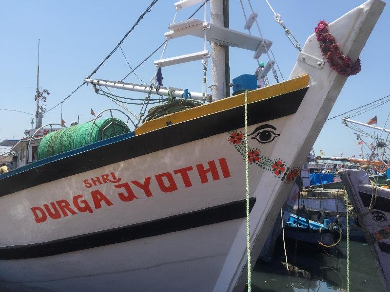 Fibre Fishing Boat 19