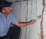 Wood Borer Control Treatment Service 02