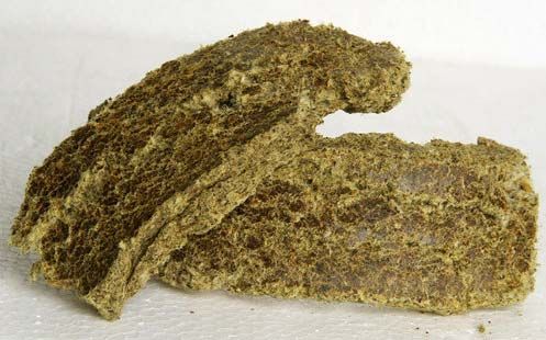 Cottonseed Oil Cake 01