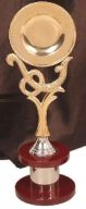 Award Trophy (807)