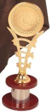 Award Trophy (808)