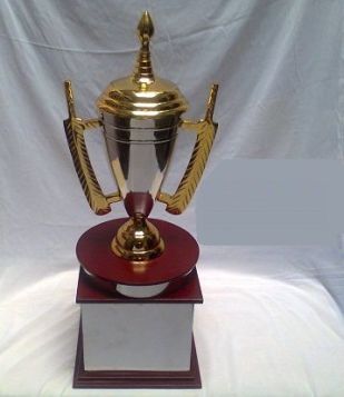 Award Trophy (825)