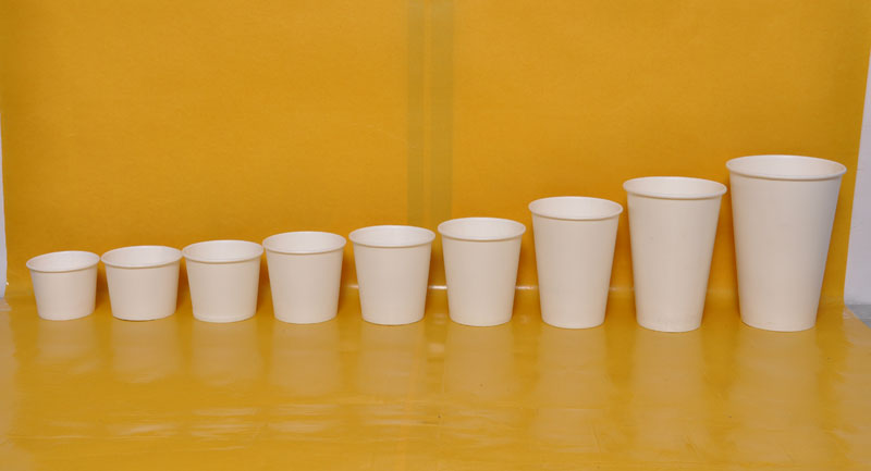 Paper Cups 04