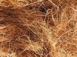 Brown Coir Fibre 01