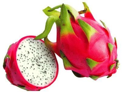 Dragon Fruit 01