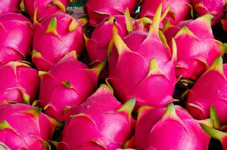 Dragon Fruit 03