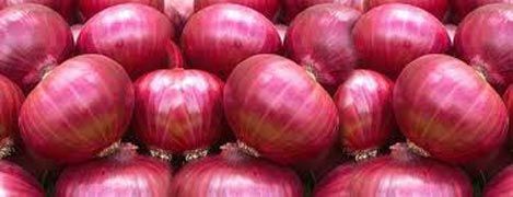 Fresh Red Onion 02